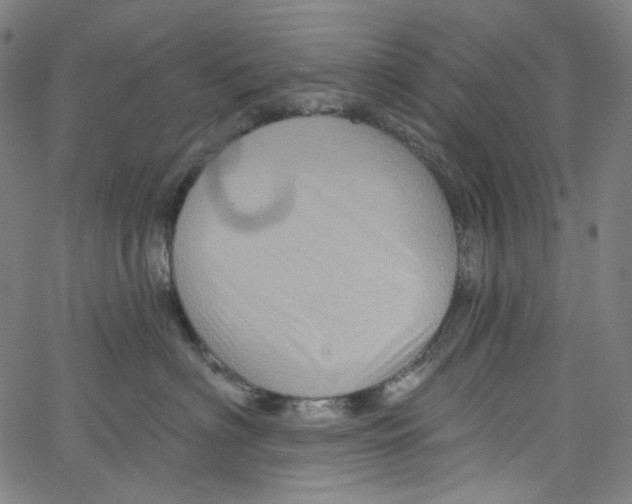 X0000067350622200604281443