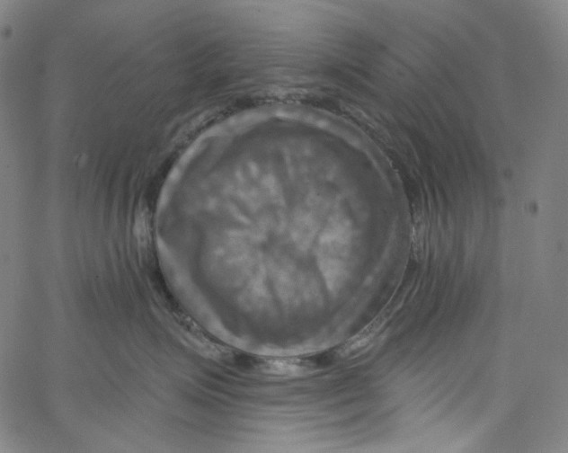 X0000067350623200604281443