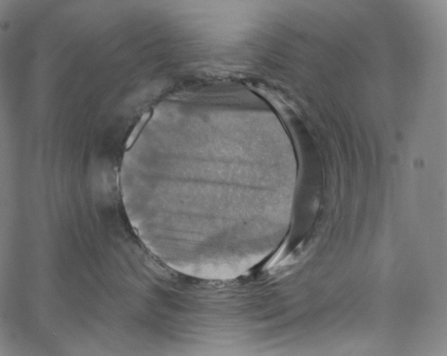 X0000067350624200604281443