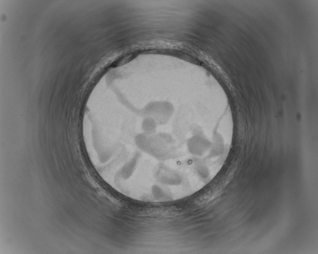 X0000067350625200604281442