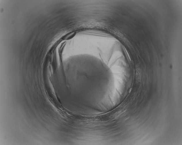 X0000067350626200604281443