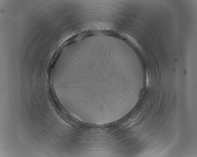 X0000067350627200604281443