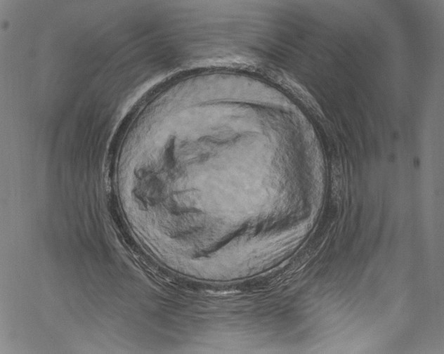 X0000067350628200604281443