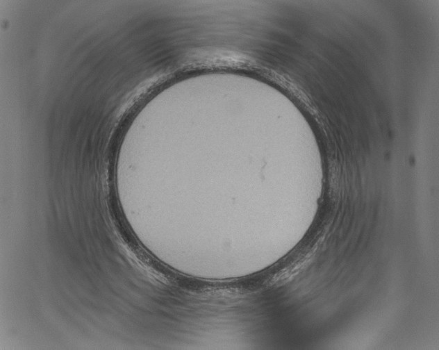 X0000067350629200604281443