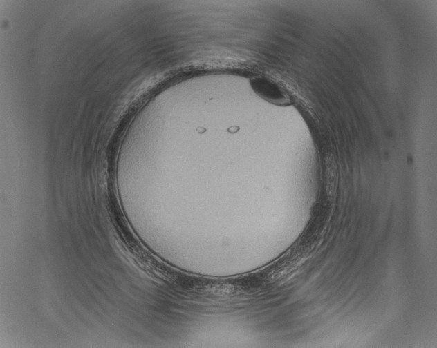 X0000067350631200604281443