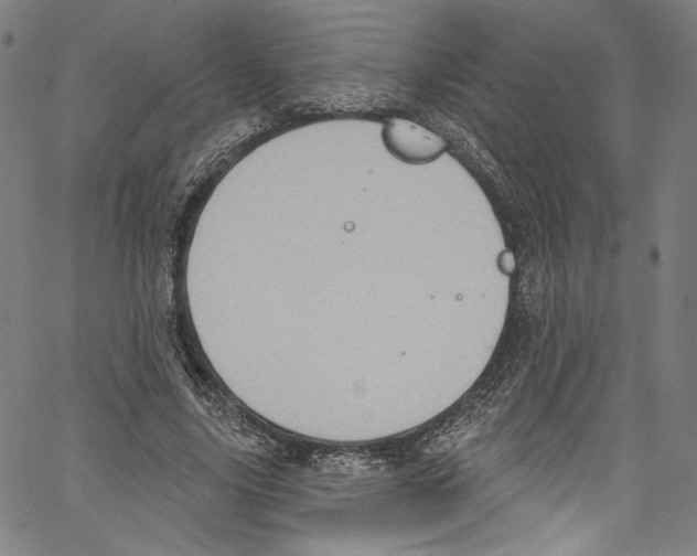 X0000067350635200604281443