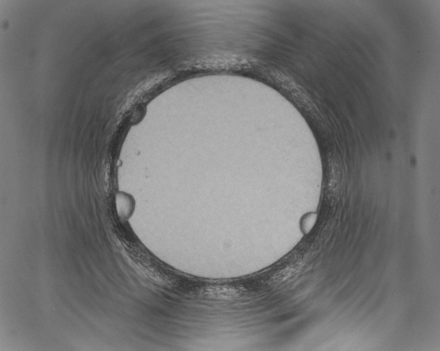 X0000067350636200604281443