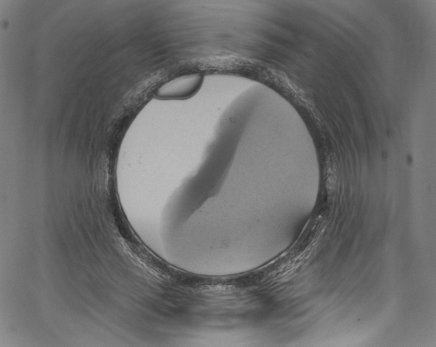 X0000067350637200604281443