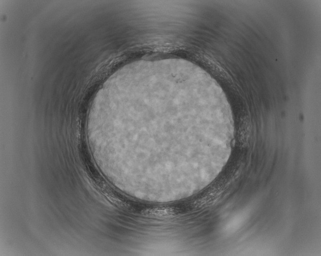 X0000067350639200604281443