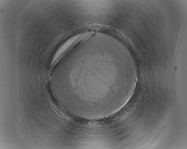 X0000067350641200604281443