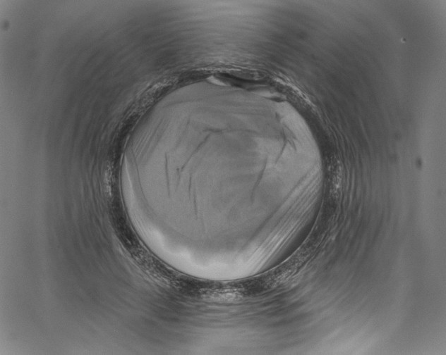 X0000067350643200604281443