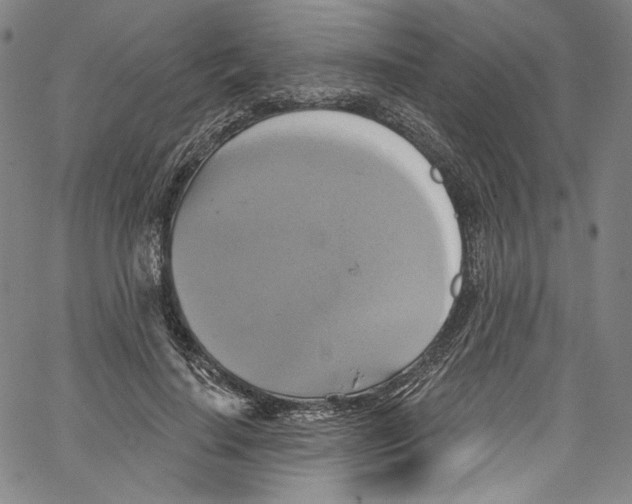 X0000067350644200604281443