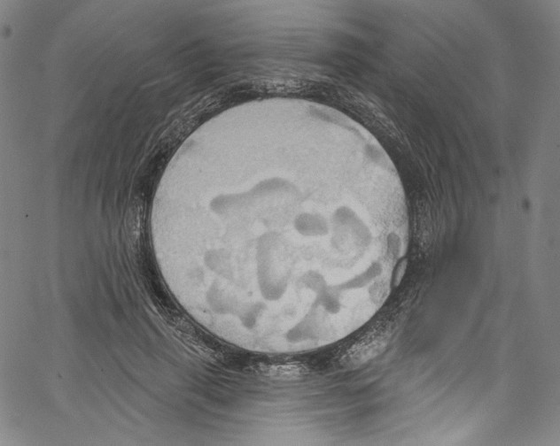 X0000067350645200604281443