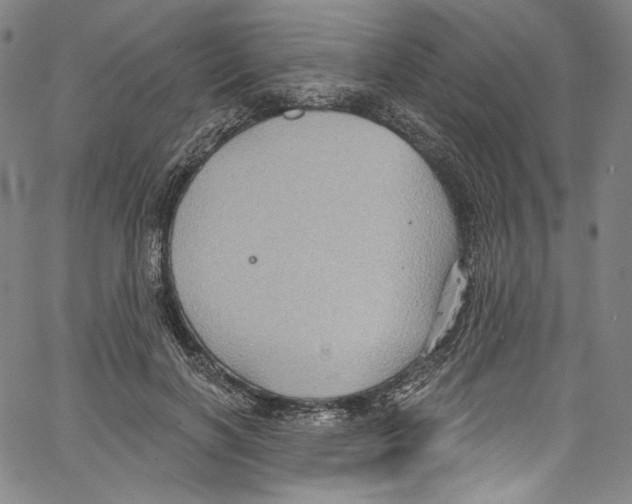 X0000067350646200604281443