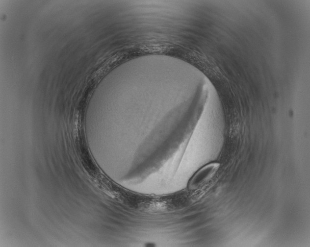 X0000067350647200604281443