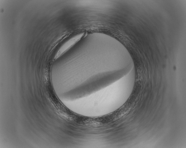 X0000067350648200604281443