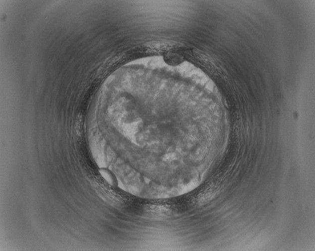 X0000067350649200604281443