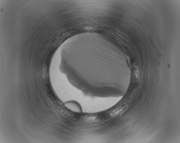 X0000067350651200604281443