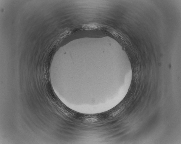 X0000067350653200604281443