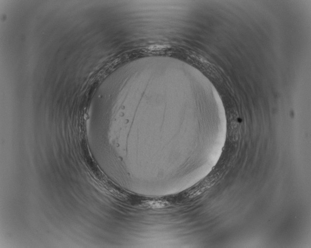 X0000067350654200604281443