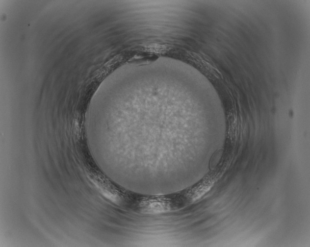 X0000067350655200604281443