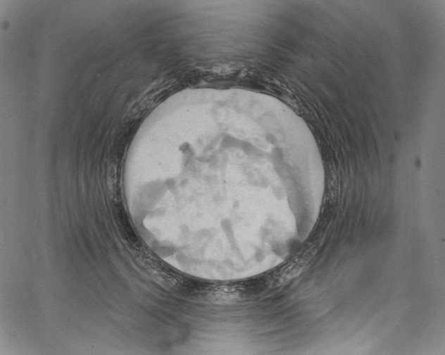 X0000067350656200604281443