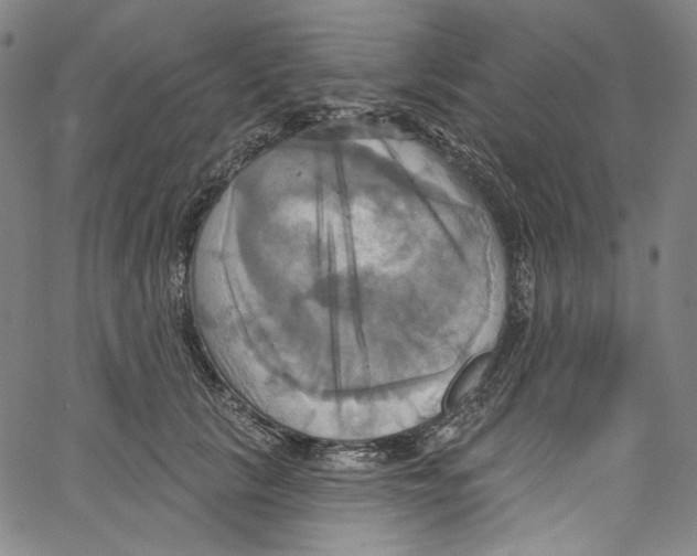 X0000067350657200604281443