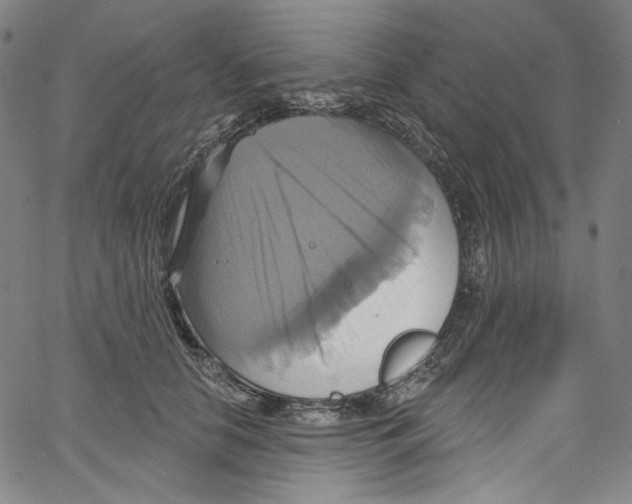 X0000067350658200604281443