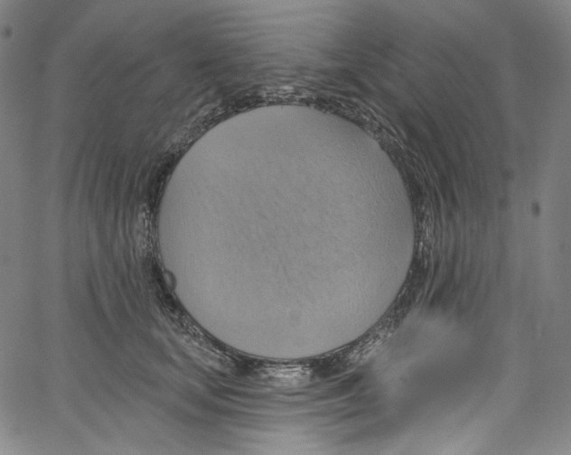 X0000067350659200604281443