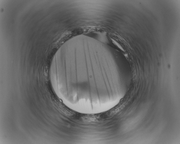 X0000067350661200604281443