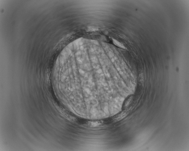 X0000067350662200604281443