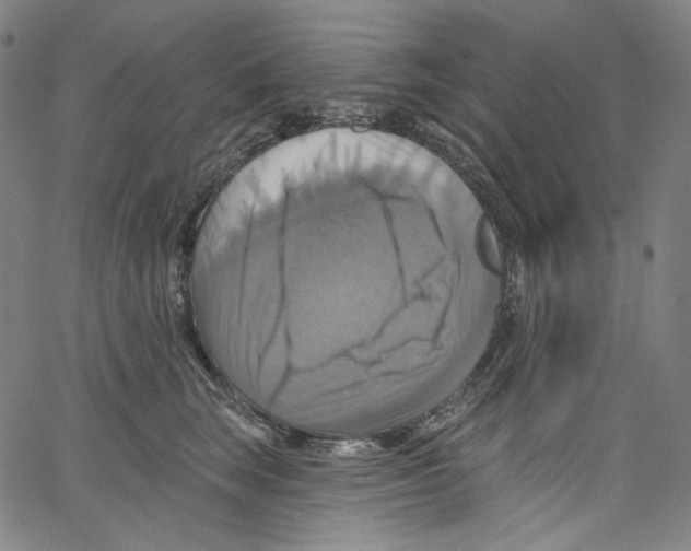 X0000067350663200604281443