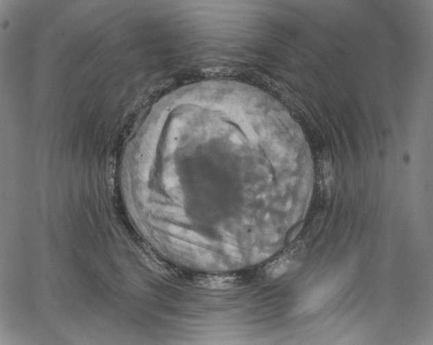 X0000067350664200604281443