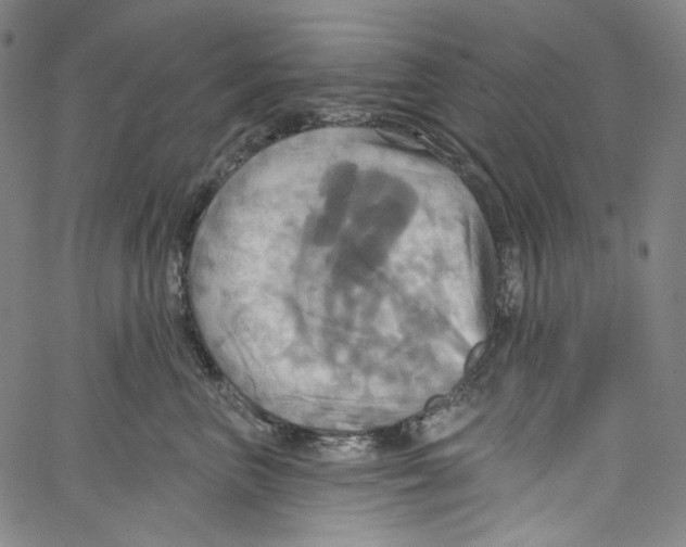 X0000067350667200604281443