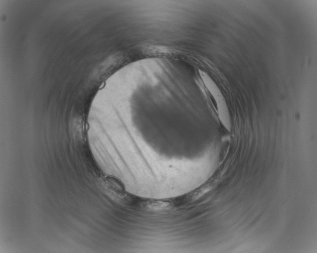 X0000067350669200604281443