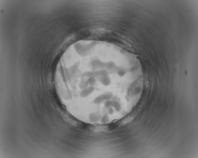 X0000067350670200604281443