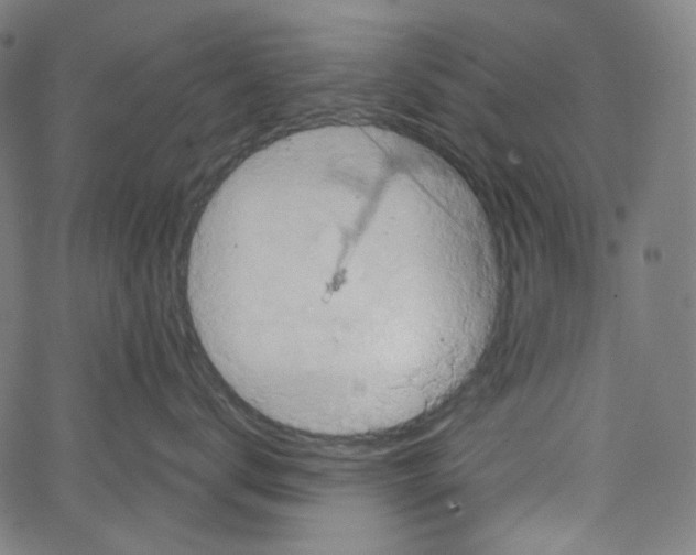 X0000067350672200604281443