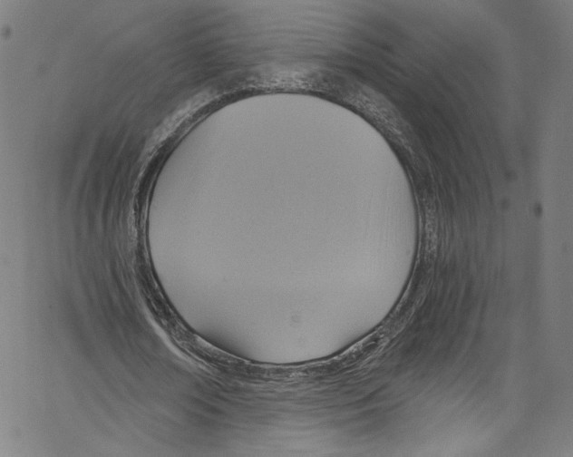 X0000067350674200604281442