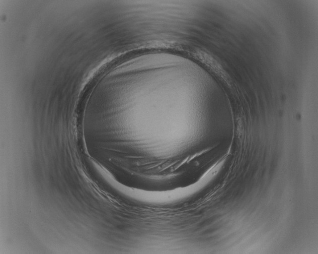 X0000067350676200604281442