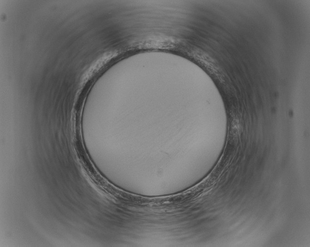 X0000067350678200604281442