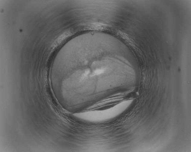 X0000067350679200604281442