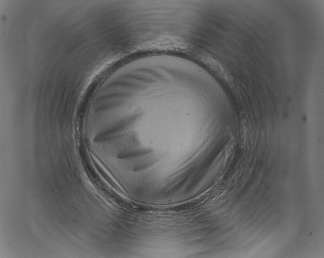 X0000067350680200604281442