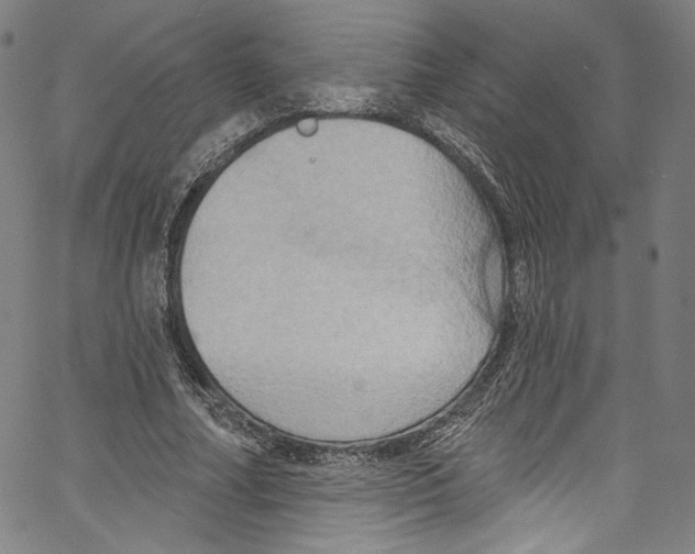 X0000067350682200604281442