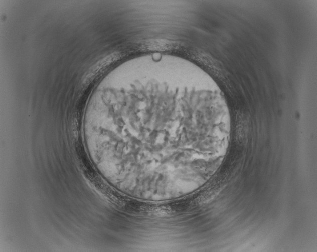 X0000067350683200604281442