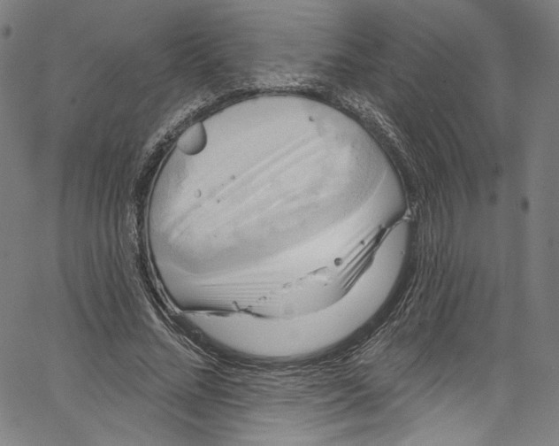 X0000067350684200604281442