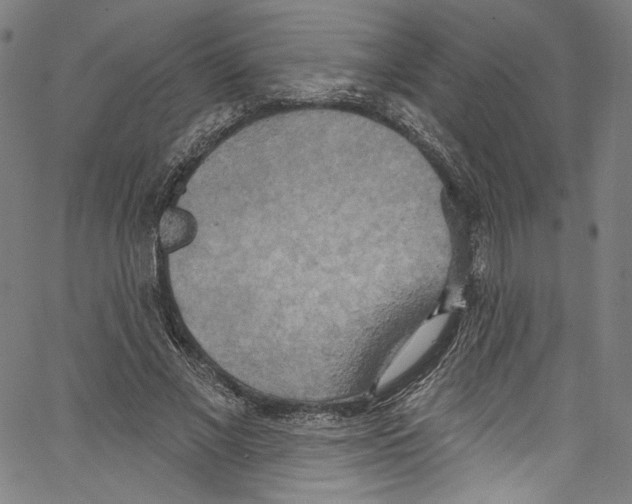 X0000067350685200604281442