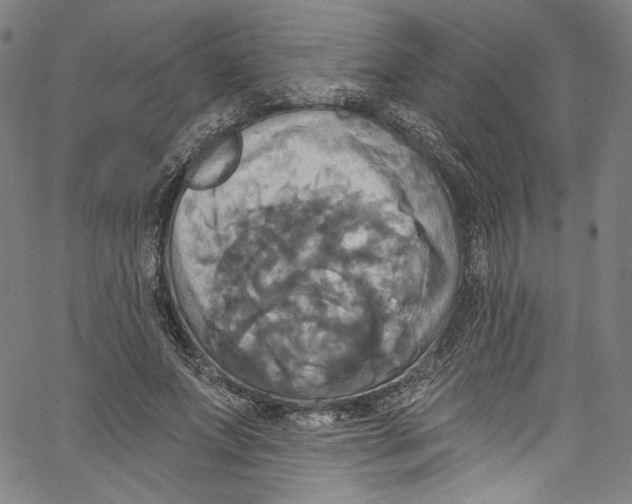 X0000067350687200604281442