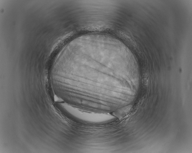 X0000067350688200604281442