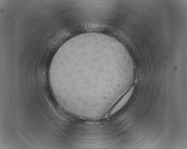 X0000067350690200604281442