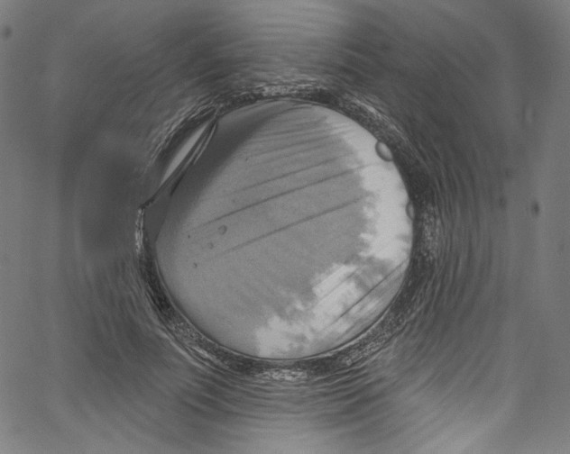 X0000067350691200604281442